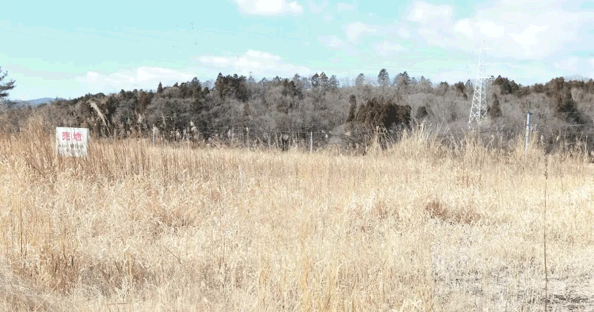 田舎の土地を相続するメリット・デメリット｜相続後の選択肢を紹介